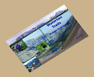 Purchase Information